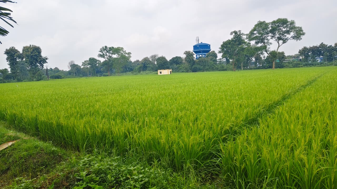 Visited the Teaching Farm at Mondouri 