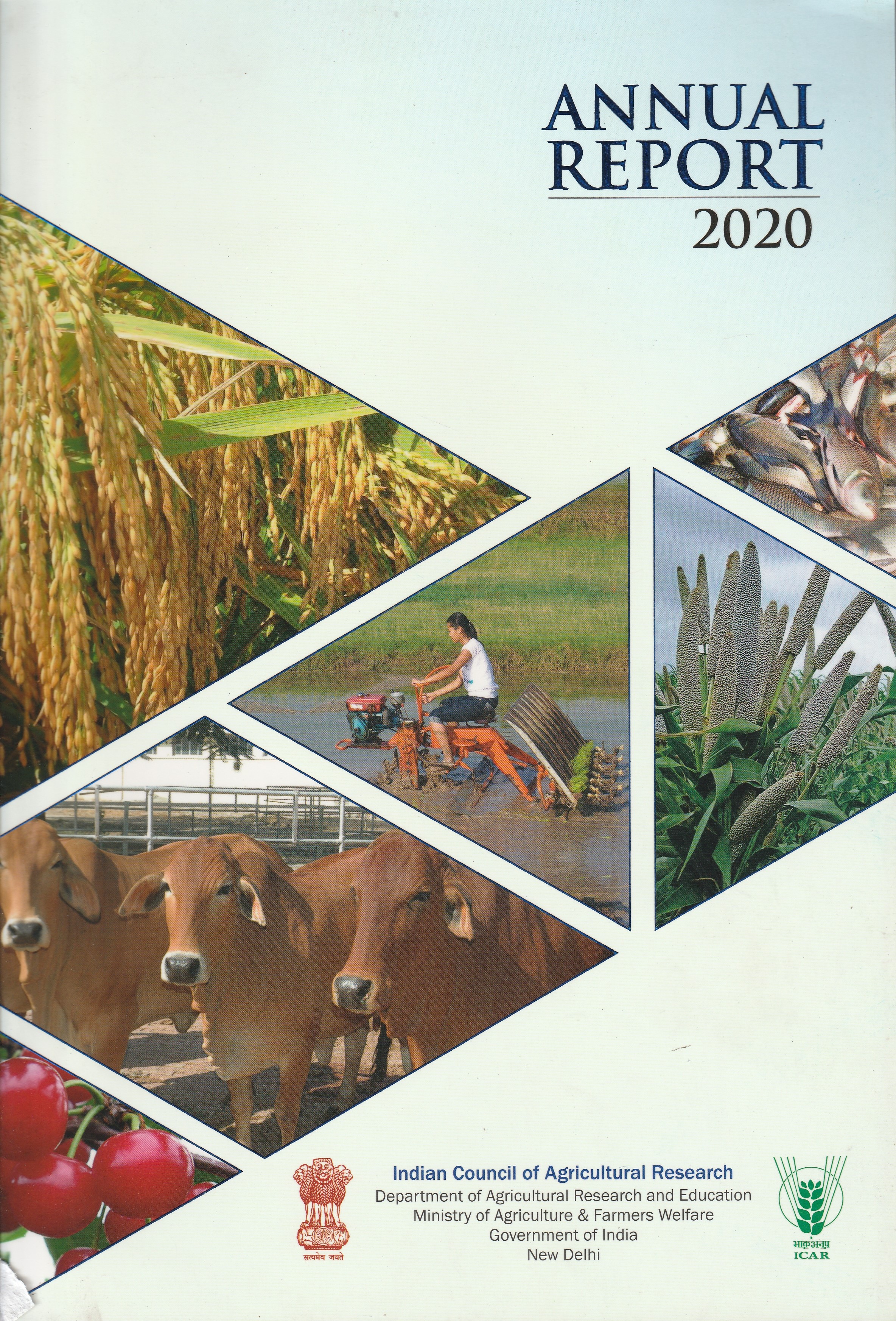 Annual Report 2019 -2020