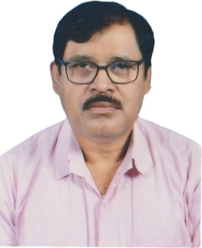 Sujit Kumar Ray